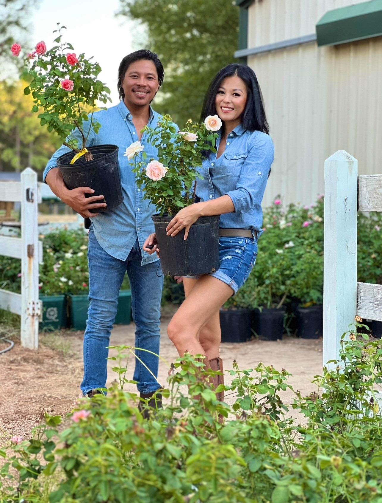 Fall Potted Rose Sale - Entry Fee