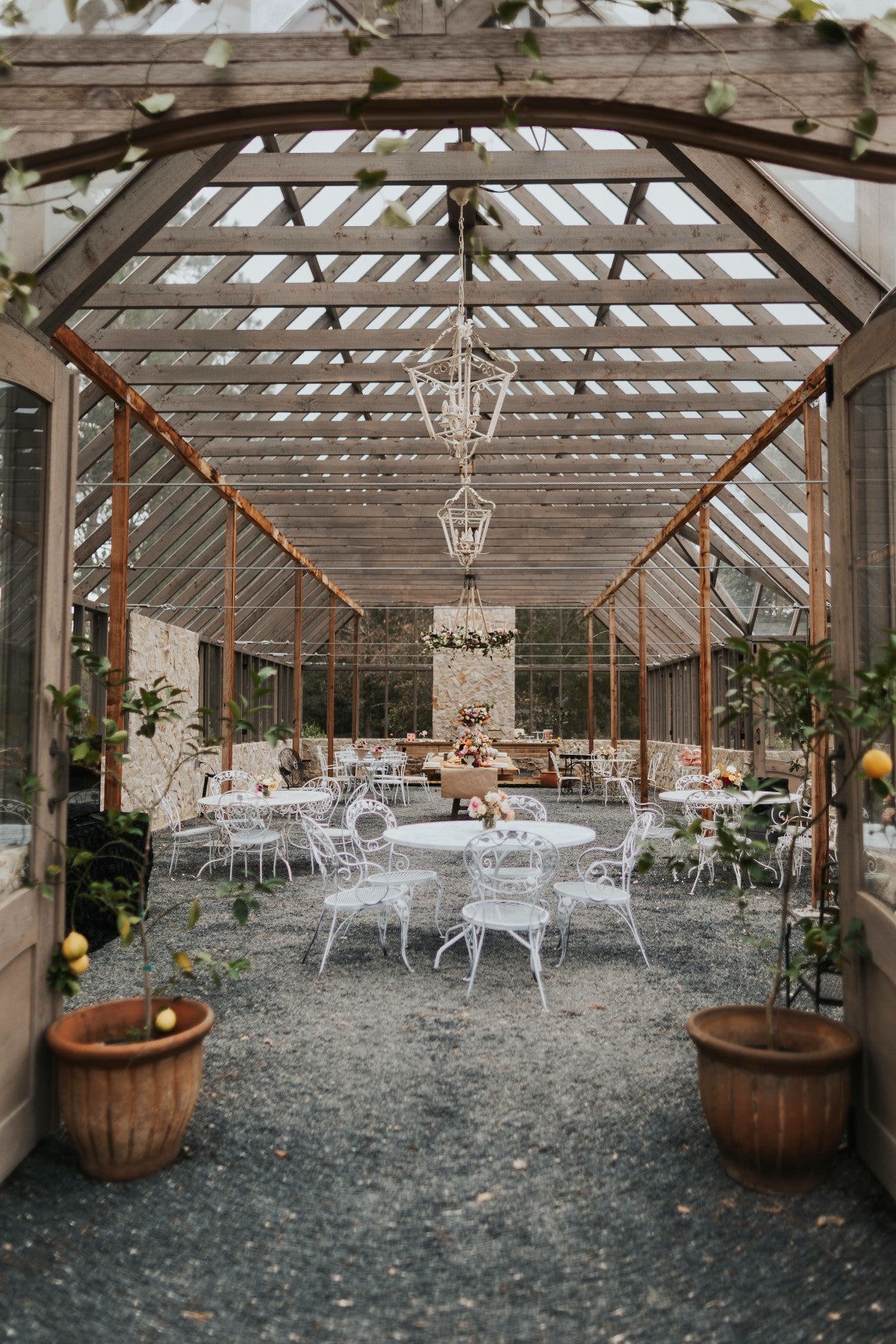 Frequently Asked Questions – Life in Rose Farm